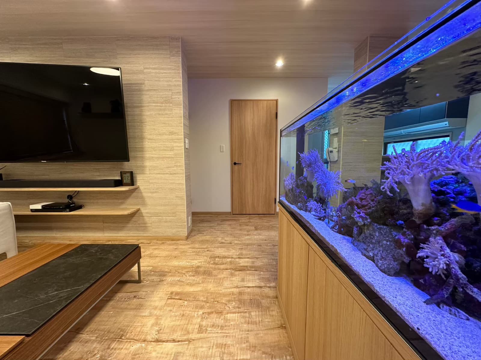 人と熱帯魚が回遊するリビング の室内写真 4